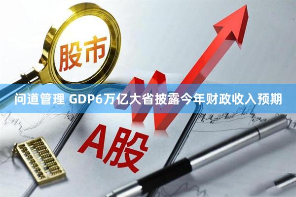 问道管理 GDP6万亿大省披露今年财政收入预期