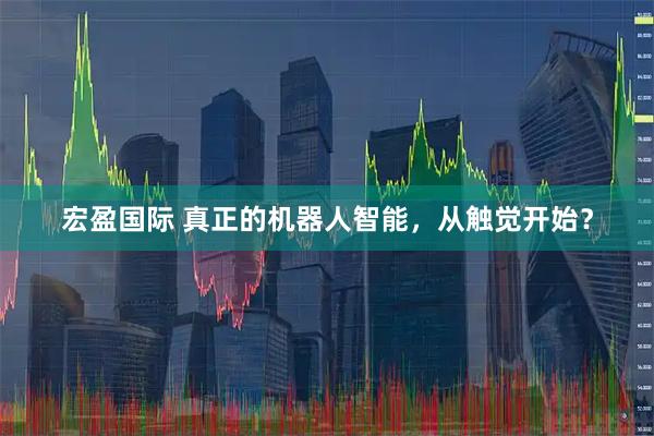 宏盈国际 真正的机器人智能，从触觉开始？
