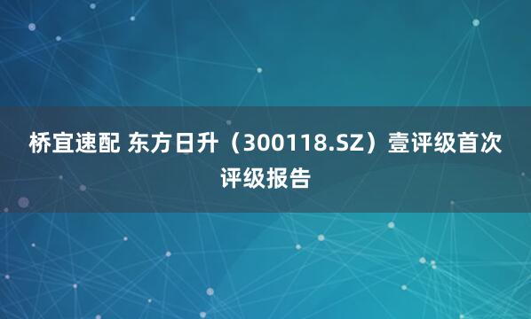桥宜速配 东方日升（300118.SZ）壹评级首次评级报告